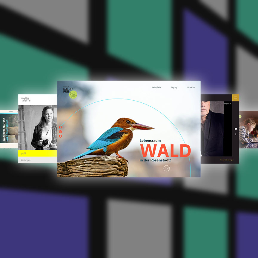 Verschiedene Beispiele aus dem Portfolio von Tarek Kabil.